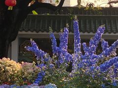 -荔湾湖公园