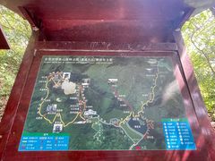 -清溪森林公园