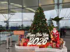 -河内内排国际机场