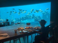 -海棠湾洲际-涛·海底餐厅·美人鱼·自助餐·海底隧道