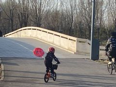 -东郊湿地公园