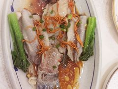 -寻味顺德·南记酒家·传统顺德菜·鱼生(广源路店)