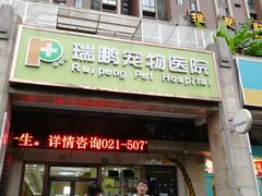 -瑞鹏宠物医院·宠保定点·心脏科·内科(御桥分院)