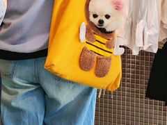 -斯普瑞斯奥特莱斯