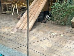 -深圳野生动物园