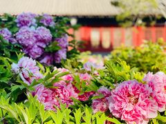 -大钟寺古钟博物馆