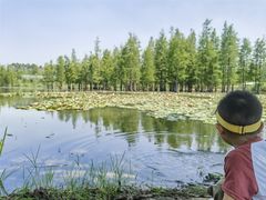 -白鹭湾湿地公园