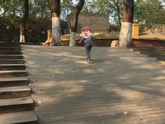 -保定市动物园