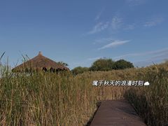 -梁鸿国家湿地公园