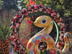 -越秀西湖花市(广州城市广场花卉店)