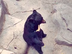 石家庄动物园-石家庄市动物园