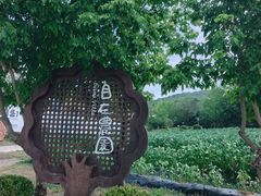 -大连北马山庄