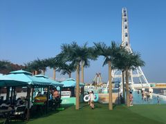 -秦皇岛乐岛海洋王国