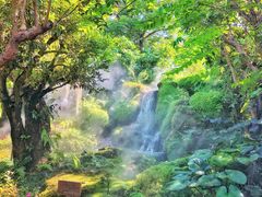 -Chom Cafe and Restaurant