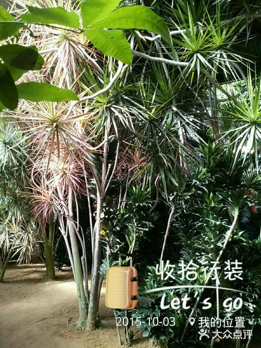 北戴河集发农业梦想王国图片