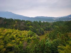 -庐山风景名胜区-东林大佛