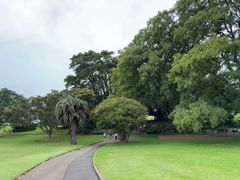 -悉尼歌剧院
