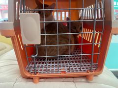 -瑞派旺宝宠物医院·犬猫全科综合·尿道专科(莲兴院)