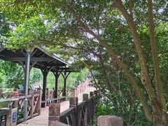 -广东花都湖国家湿地公园