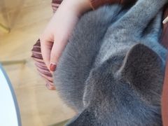-猫咪派对(江南西店)