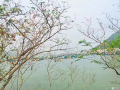 -南丫岛
