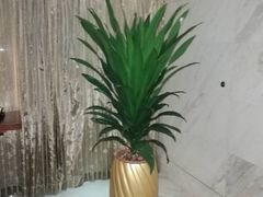 -武汉汉口火车站东方建国大酒店