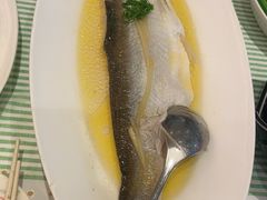 -桂满陇·杭州小馆(巴黎春天浦建店)