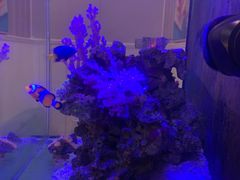 -Rabbit Cafe私房西餐甜点咖啡(栖霞路店)