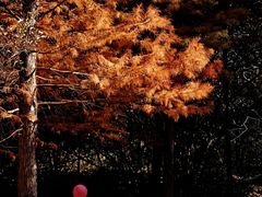 -南京市无想山景区