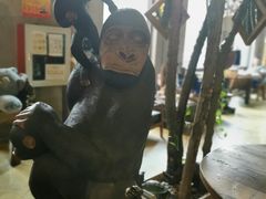 -Africafe(非洲咖啡)