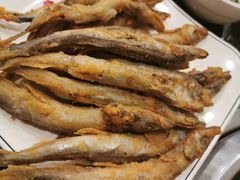 -满都拉碳火烤肉(文苑路店)