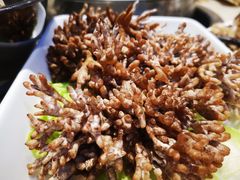 -浩爷羊蝎子火锅(望京店)