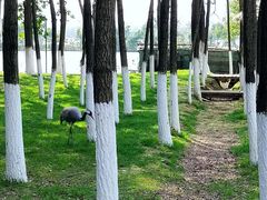 -艾溪湖湿地公园