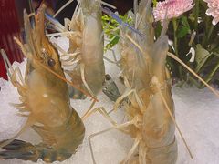 -1718海鲜姿造(苏宁宴请臻选店)