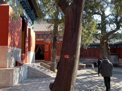 -北京国子监胡同