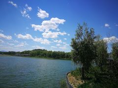 -大兴滨河森林公园