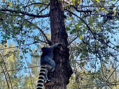 -北京野生动物园