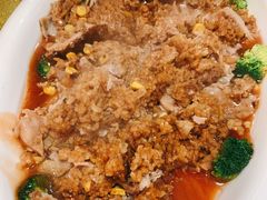 -丁老爷子苏香圆