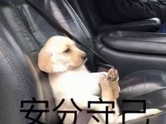 -秦云老太婆摊摊面(大竹林店)