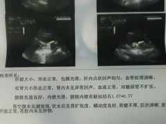 -纳吉亚猫专科动物医院博雅分院