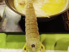 -鲜入围煮花胶鸡海鲜火锅