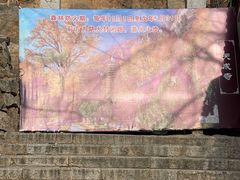 -天津盘山风景名胜区