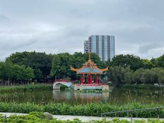 -金砂公园