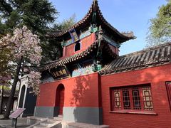 -洛阳白马寺