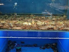 -赶海部落海鲜城(海阳路店)