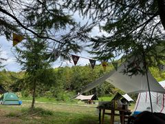 -武陵山森林公园