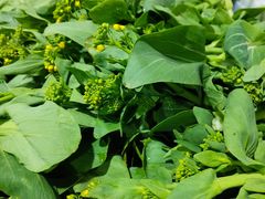 -武汉紫薇都市田园