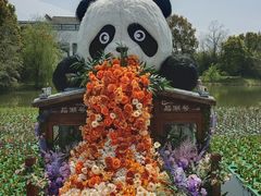-苏州太湖国家湿地公园