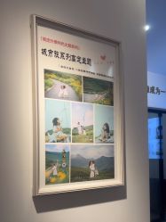 -贝影FACE亲子摄影(宁波区总店)