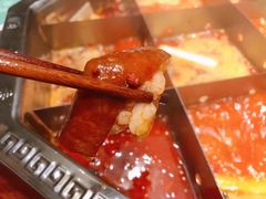 -蜀九香火锅(营口店)